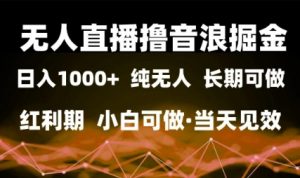 无人直播撸音浪掘金,日入1k+,纯无人红利期,小白可做,当天见效【揭秘】-风淘社
