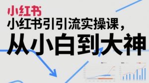 小红书引流实操课,从小白到大神-风淘社