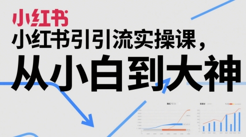小红书引流实操课,从小白到大神-风淘社