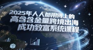 2025年人人都用得上的高含金量跨境出海成功致富系统课程-风淘社