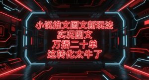 小说推文图文新玩法,实况图文,万播二十单,这转化太牛了!-风淘社