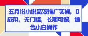 五月份小说高效推广实操，0成本，无门槛，长期可做，适合小白操作-风淘社