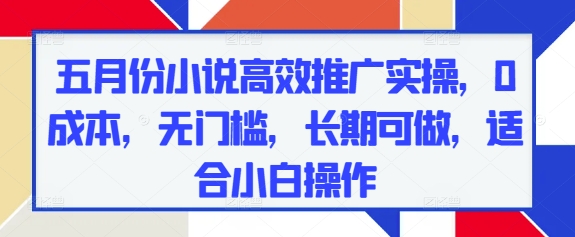 五月份小说高效推广实操,0成本,无门槛,长期可做,适合小白操作-风淘社