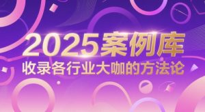 2025案例库,收录各行业大咖的方法论-风淘社