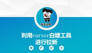 利用cursor白嫖工具进行拉新-风淘社