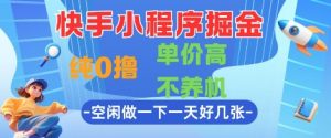 快手小程序掘金,纯0撸,单价高不养机 利用空闲时间做一做,一天好几张【揭秘】-风淘社