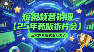 短视频营销课【25年新版拆片会】三大体系成就百万大V,包含正课、拆片会、手把手教学直播课等-风淘社