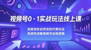 视频号0-1实战玩法线上课,深度剖析自然流和付费玩法,统性讲解视频号全部逻辑-风淘社