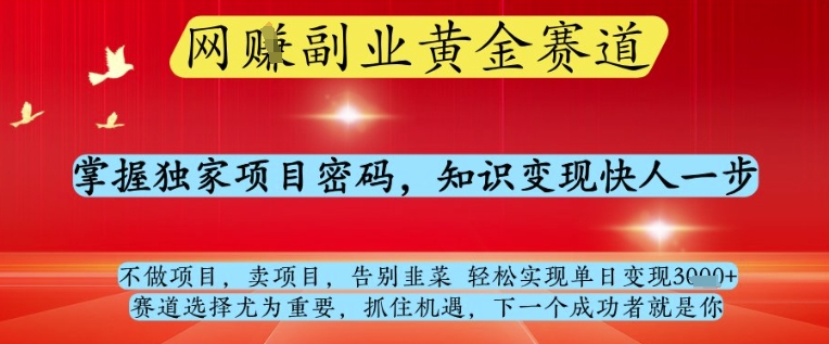 网创副业黄全赛道，掌握独家项目密码，知识变现快人一步，告别韭菜轻松实现单日变现1k+【揭秘】-风淘社