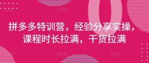 拼多多特训营,经验分享实操,课程时长拉满,干货拉满(更新25年4月)-风淘社