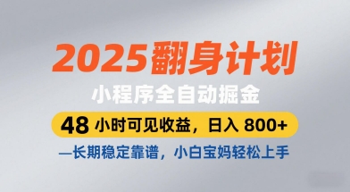2025翻身计划,小程序全自动掘金,48小时可见收益,日入8张+,长期稳定靠谱,小白宝妈轻松上手【揭秘】-风淘社