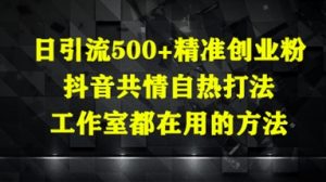 日引流500+精准创业粉，抖音共情自热打法，工作室都在用的方法-风淘社