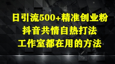 日引流500+精准创业粉，抖音共情自热打法，工作室都在用的方法-风淘社