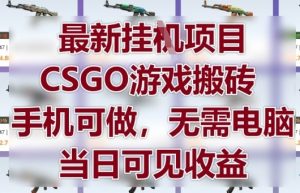 最新挂G项目,CSGO游戏搬砖,手机可做,无需电脑,当日见收益【揭秘】-风淘社