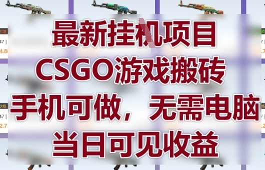 最新挂G项目,CSGO游戏搬砖,手机可做,无需电脑,当日见收益【揭秘】-风淘社