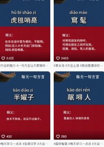 抖音最新涨粉玩法，图文方言暴力涨粉实操，126作品涨粉11W-风淘社