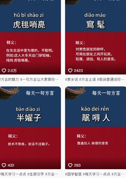 抖音最新涨粉玩法,图文方言暴力涨粉实操,126作品涨粉11W-风淘社