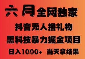 25年6月抖音无人直播最新暴力撸音浪掘金,小白可做,可批量矩阵放大,长期稳定日入1k+【揭秘】-风淘社