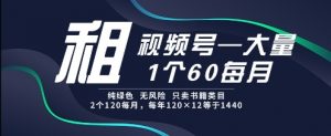 租视频号，一个60每月，2个120.纯绿色、无风险，常年租【揭秘】-风淘社