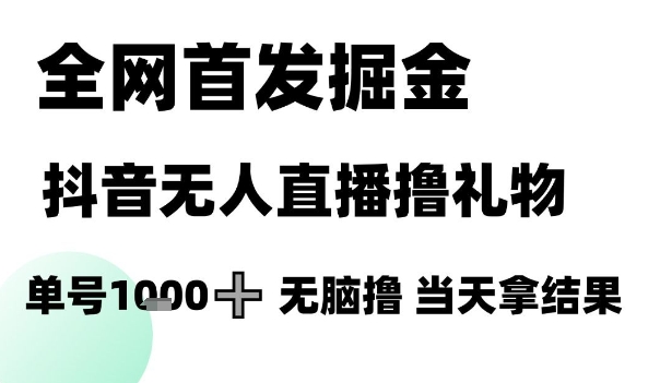 全网首发掘金抖音无人直播撸礼物,单号1k +无脑撸,当天拿结果【揭秘】-风淘社