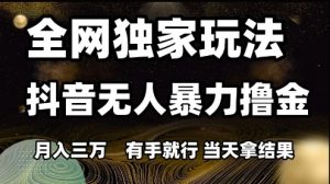 全网独家玩法抖音无人暴力撸金,月入3W,有手就行,当天拿结果【揭秘】-风淘社