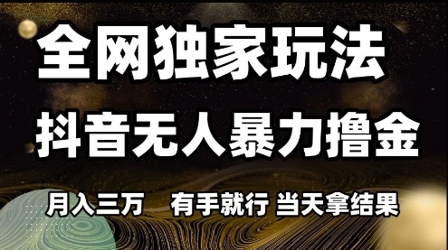 全网独家玩法抖音无人暴力撸金,月入3W,有手就行,当天拿结果【揭秘】-风淘社