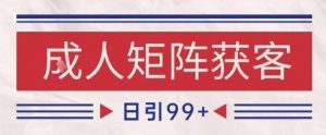 小红书某音橙人赛道引流获客，自热矩阵日引200+【揭秘】-风淘社