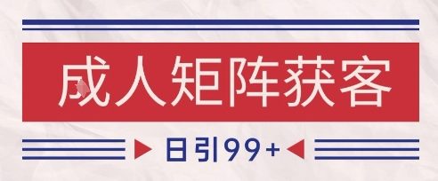 小红书某音橙人赛道引流获客,自热矩阵日引200+【揭秘】-风淘社