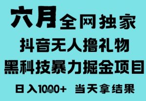 25年6月高爆抖音无人直播最新撸音浪掘金项目,门槛低小白可做,无脑日入1k,可矩阵放大【揭秘】-风淘社