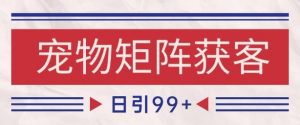 小红书某音宠物赛道引流获客 自热矩阵日引200+【揭秘】-风淘社