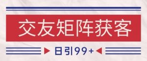 小红书某音交友赛道引流获客 自热矩阵日引200+【揭秘】-风淘社