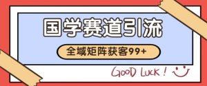 小红书某音国学赛道引流获客 自热矩阵日引200+【揭秘】-风淘社