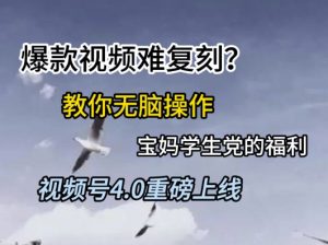 视频号4.0重磅上线,爆款视频难复刻?教你无脑操作宝妈学生党的福利【揭秘】-风淘社