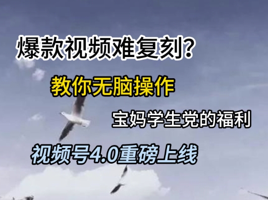 视频号4.0重磅上线，爆款视频难复刻？教你无脑操作宝妈学生党的福利【揭秘】-风淘社