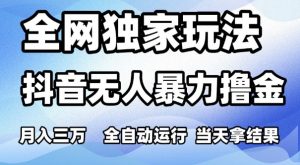 全网独家玩法,抖音无人暴力撸金,月入3W,全自动运行,当天拿结果,可矩阵【揭秘】-风淘社