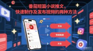 番茄短篇小说推文，快速制作及发布视频的两种方法-风淘社