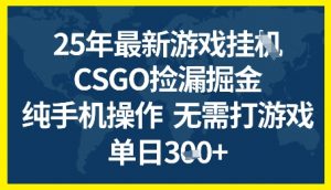 25年CSGO游戏搬砖,全自动挂G,不需要玩游戏,手机操作日入3张+【揭秘】-风淘社
