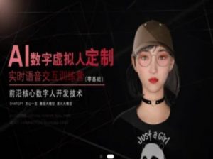 AI数字虚拟人定制,实时语音交互训练营(零基础),前沿核心数字人开发技术-风淘社