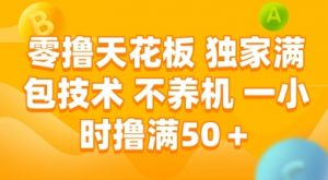 零撸天花板,独家满包技术 不养机 一小时撸满50+【揭秘】-风淘社