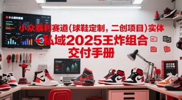 小众暴利赛道(球鞋定制,二创项目)实体+私域2025王炸组合 交付手册-风淘社