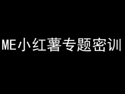ME小红薯专题密训-小红书电商教程-风淘社