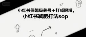 小红书保姆级养号+打减肥粉,小红书减肥打法sop-风淘社