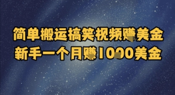 简单搬运搞笑视频挣美金,新手一个月入1k美金-风淘社