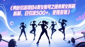 男粉引流项目4美女账号之健身美女拆解，日引流500+，变现多张-风淘社