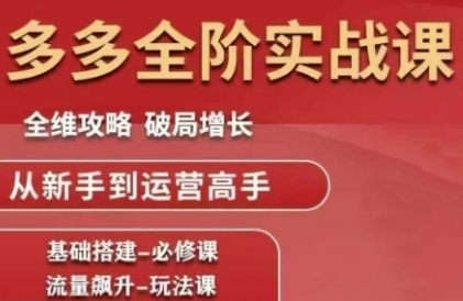 拼多多全阶实战课程,全维攻略,破局增长,从新手到运营高手-风淘社