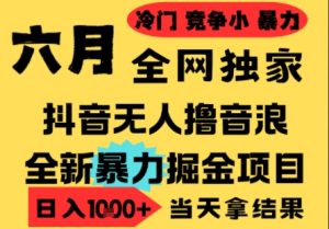 25年6月高爆抖音无人直播最新撸音浪掘金项目,小白可做,无脑日入1k+,门槛低可批量矩阵【揭秘】-风淘社