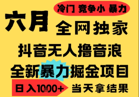25年6月高爆抖音无人直播最新撸音浪掘金项目,小白可做,无脑日入1k+,门槛低可批量矩阵【揭秘】-风淘社