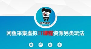 闲鱼采集虚拟IT课程资源另类玩法,干货满满-风淘社