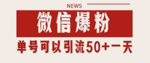 微信爆粉,私域暴力引流打法日引千粉 单号日进50+【揭秘】-风淘社