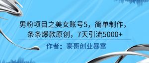 男粉项目之美女账号5，简单制作，条条爆款原创，7天引流5000+-风淘社